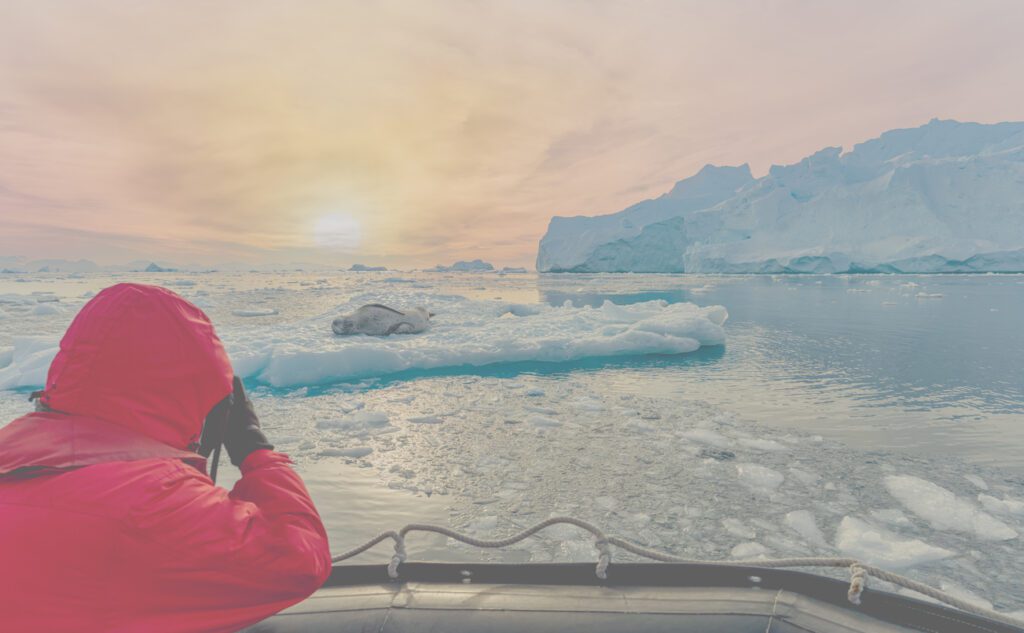 Traveler photographing a seal on ice during an Arctic expedition cruise at sunrise